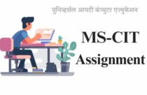 MSCIT Final Exam Objective Questions in English - Universal IT Computer ...